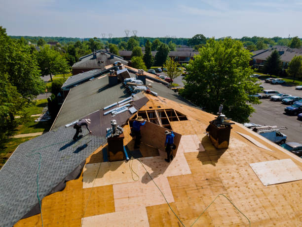 Roof Gutter Cleaning in Drexel, NC